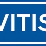 VITIS LOGO